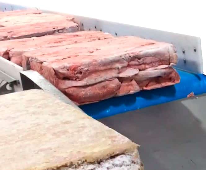 inclined-chain-bulk-conveyor-03